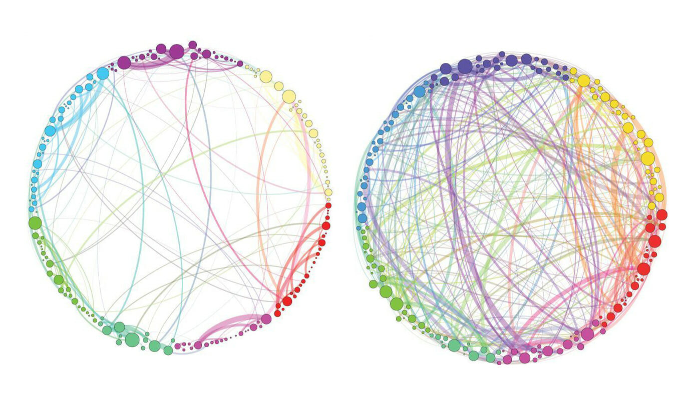 Diagram showing more active neural connections with use of psilocybin